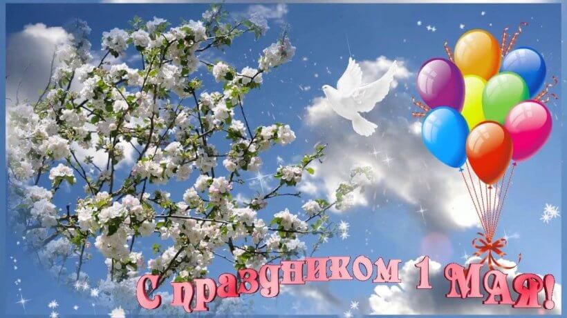https://cdn.crawlerx.ru/production/0365f6d4-7cd4-4b3a-8af1-b8621feb723f.jpg