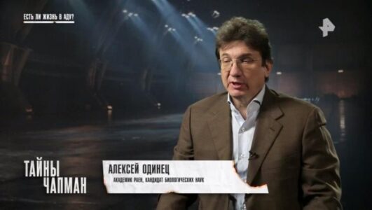 Тайны Чапман 08.12.2025 Rufilm.ORG Тайны Чапман 08.12.2025