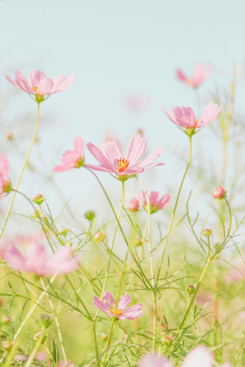 Грязный секрет ИИ: быть лучшим больше не имеет значения