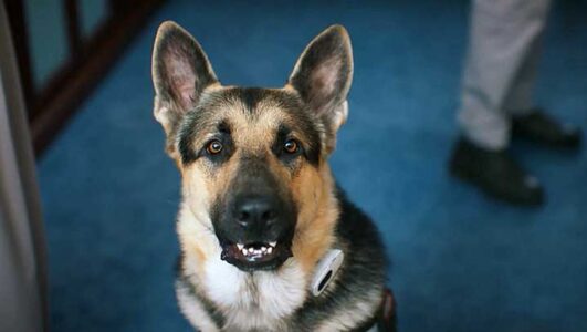 Мухтар Он вернулся 1, 2 серия 05.01.2026