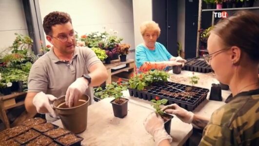 Специальный репортаж Генеральная уборка стран 14.07.2025