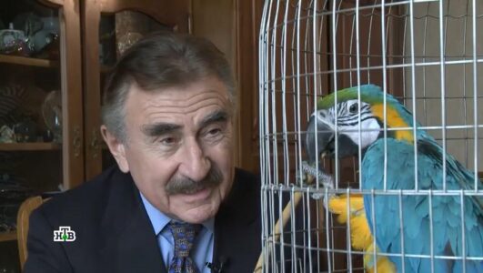 Следствие вели 17.01.2026