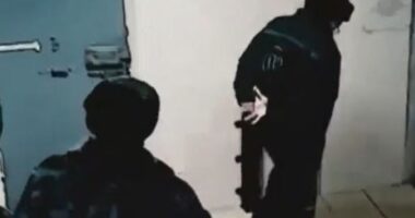 Мажоры преступление без наказания — документальный фильм 10.01.2026