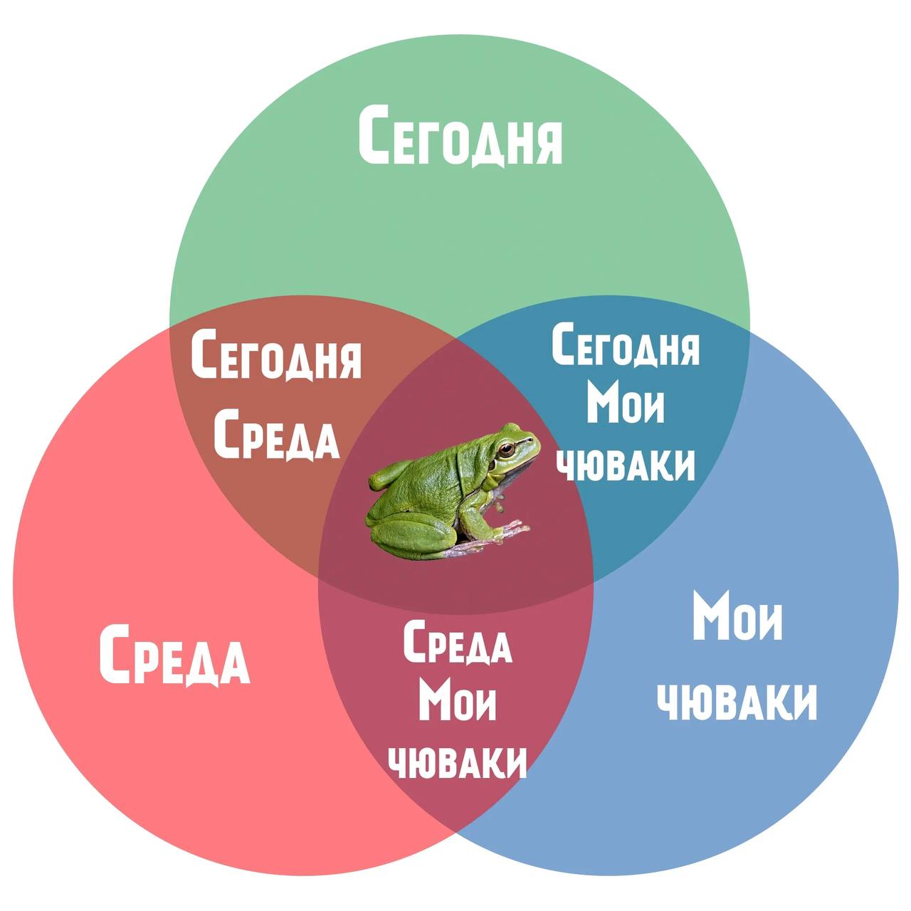 Нейронки (не) плохо понимают юмор