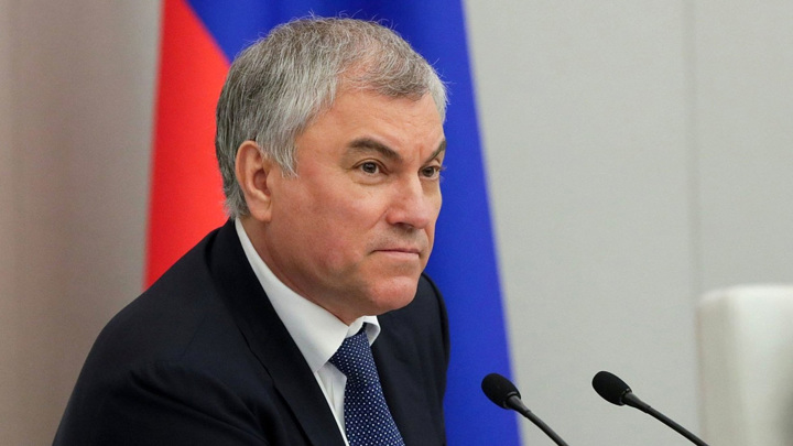 Володин призвал МВД обратить внимание на Министерство труда и соцзащиты