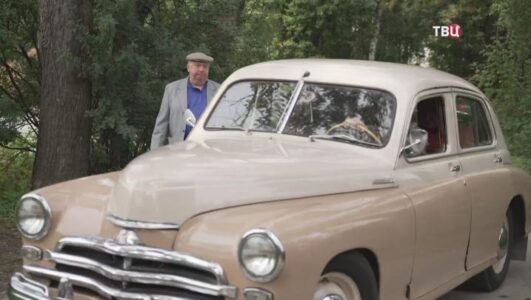 Обжалованию не подлежит Травники 18.12.2025