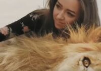 Звёздная дичь тайны чёрного рынка экзотических животных — документальный фильм 18.04.2026