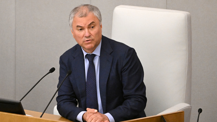 Володин: для законодательного обеспечения послания Путина нужно принять 2 закона