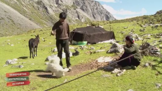 Невероятно интересные истории 16.12.2025