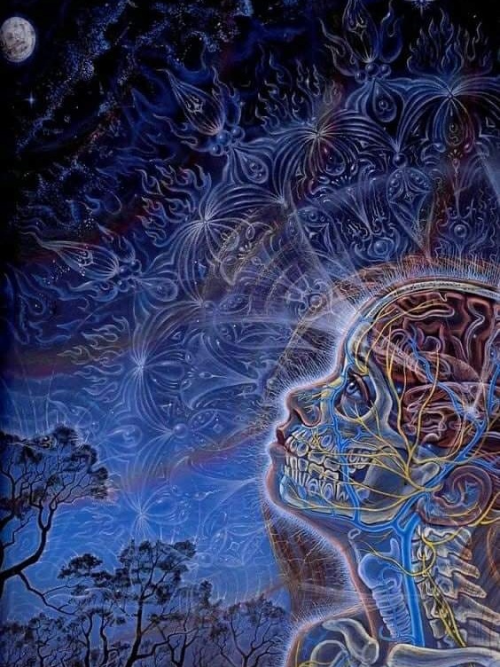 Поиск статистически значимых подтверждений силы намерения