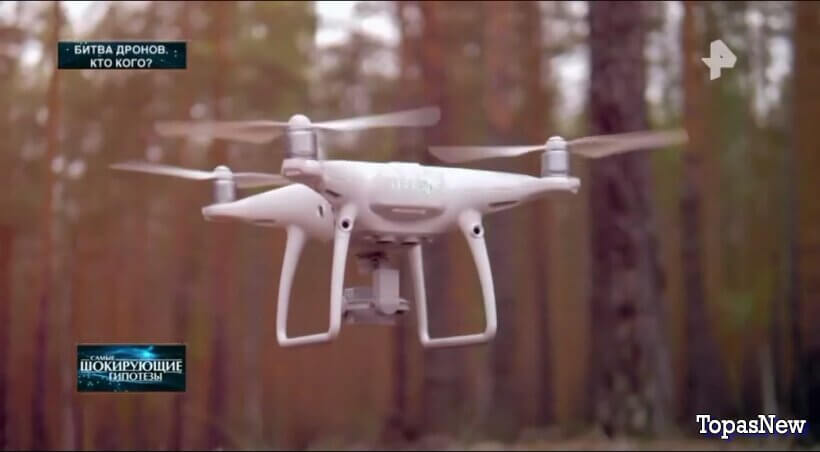 Есть ли жизнь под землей?